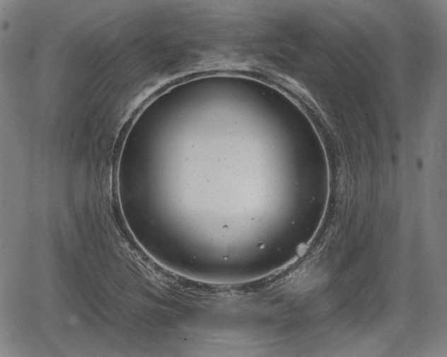 X0000064751220200602131218