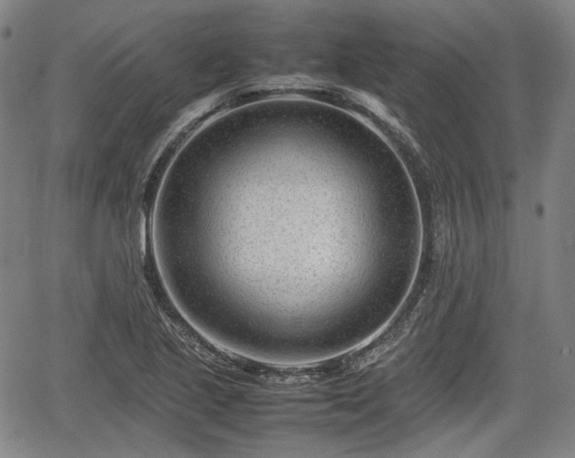 X0000064751221200602131218