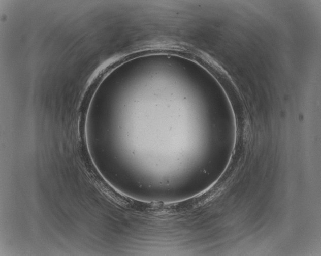 X0000064751222200602131218