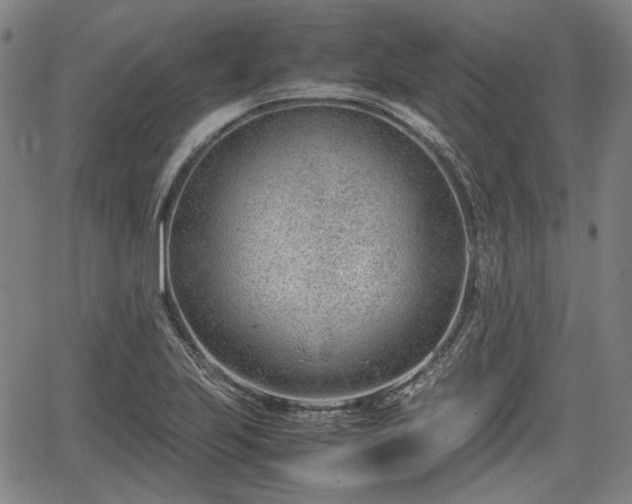 X0000064751223200602131218