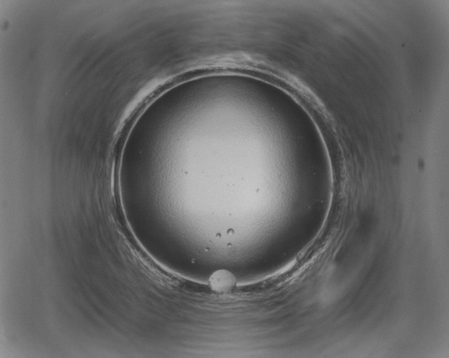 X0000064751224200602131218