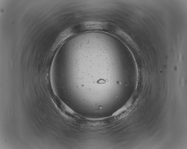 X0000064751225200602131218