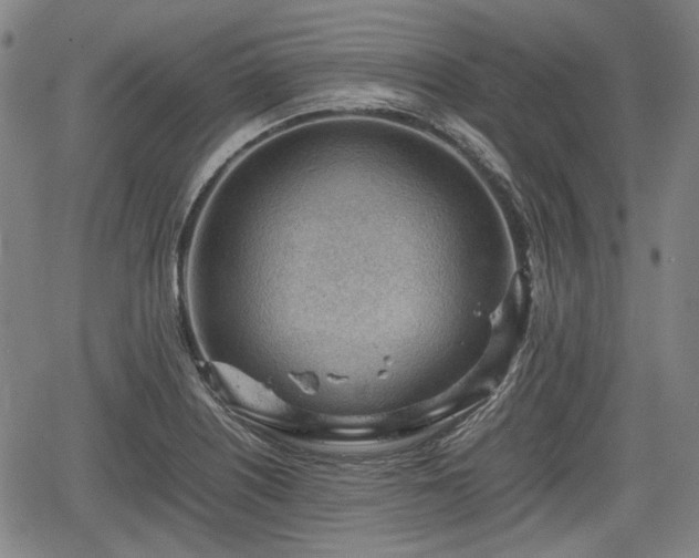 X0000064751226200602131218