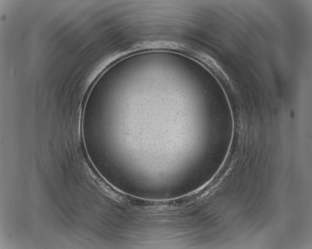 X0000064751228200602131218