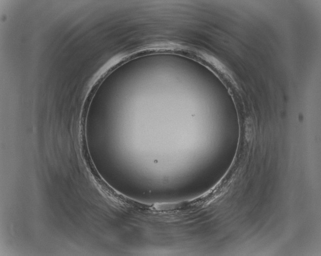 X0000064751229200602131218