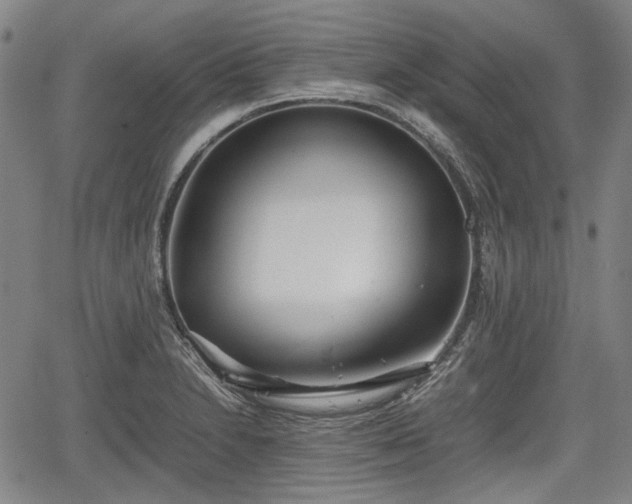 X0000064751230200602131218