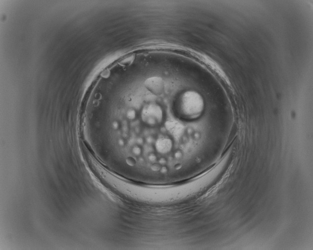 X0000064751231200602131218