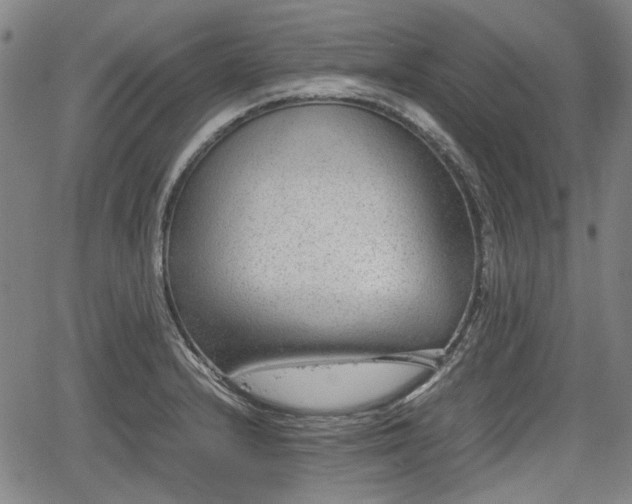 X0000064751232200602131218