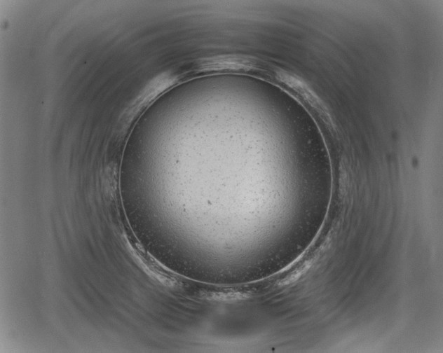 X0000064751233200602131218