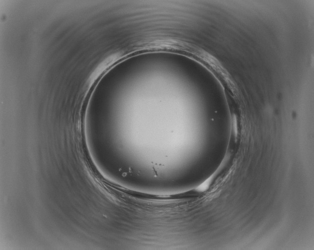 X0000064751234200602131218