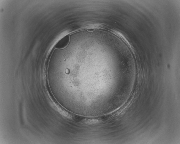 X0000064751235200602131218