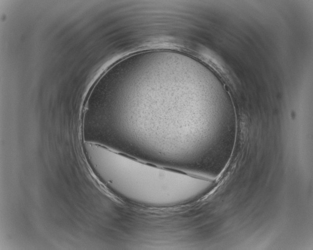 X0000064751236200602131218