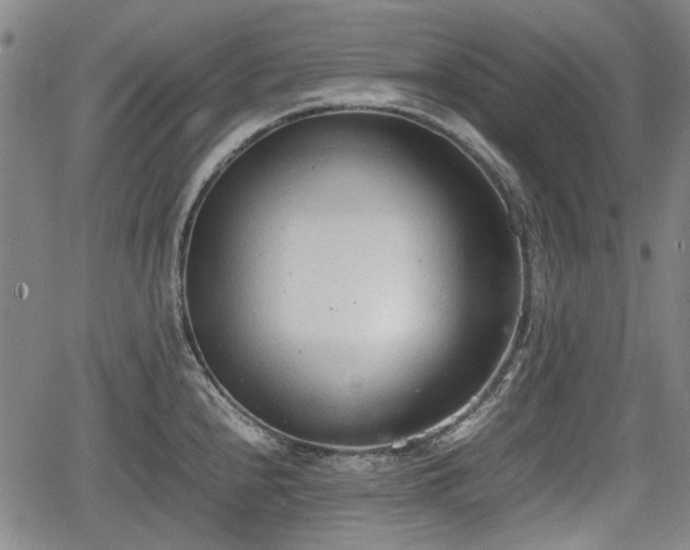 X0000064751240200602131218