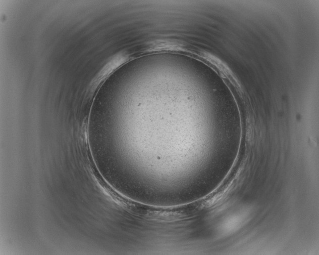 X0000064751241200602131218