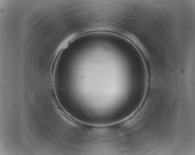 X0000064751242200602131218