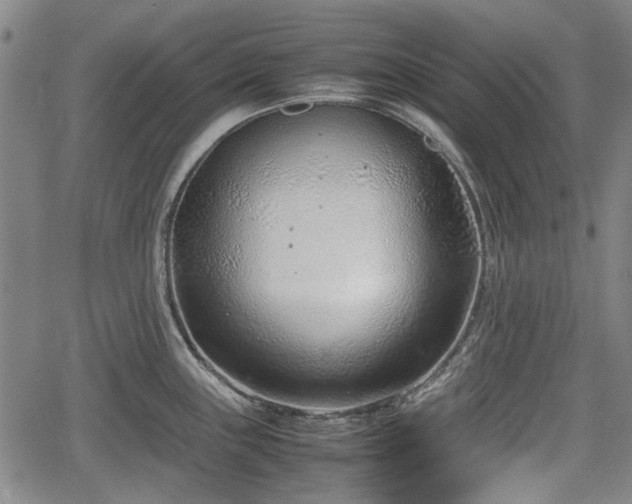 X0000064751243200602131218