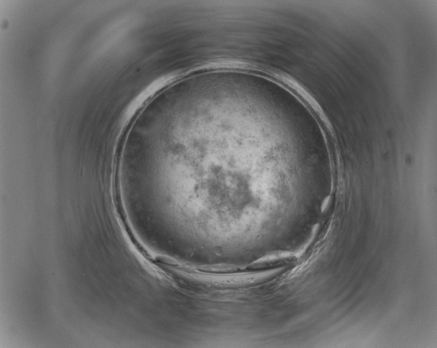 X0000064751245200602131218