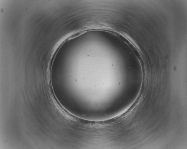 X0000064751246200602131218