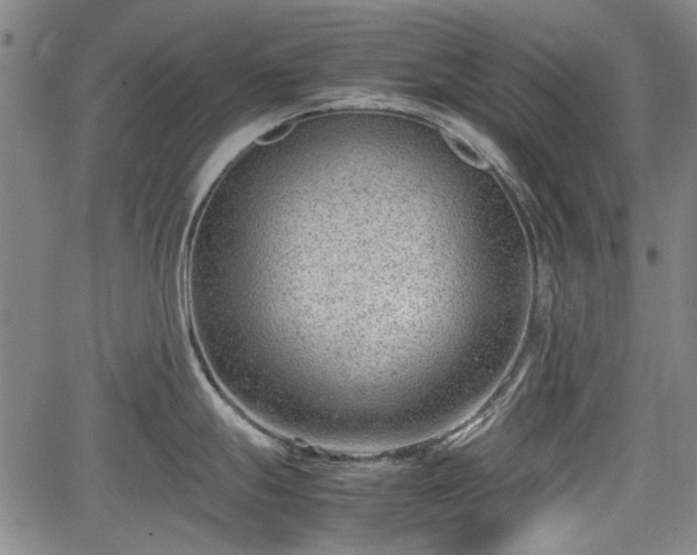 X0000064751247200602131218