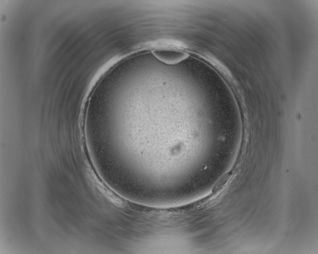 X0000064751248200602131218