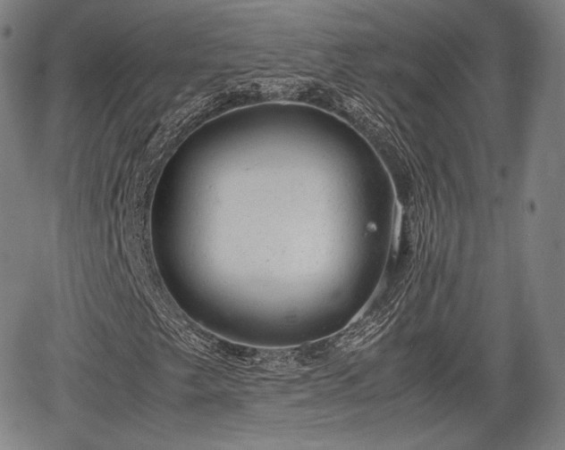 X0000064751249200602131218