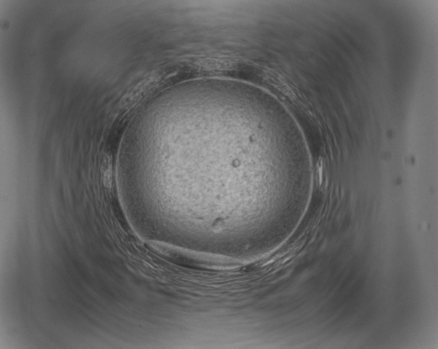 X0000064751251200602131218