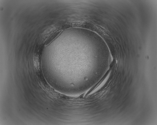 X0000064751252200602131218