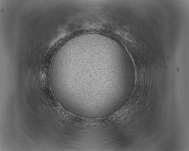 X0000064751254200602131218