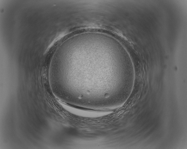 X0000064751255200602131218