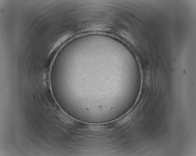 X0000064751258200602131218