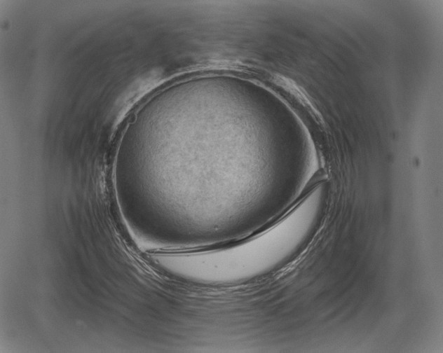 X0000064751260200602131218