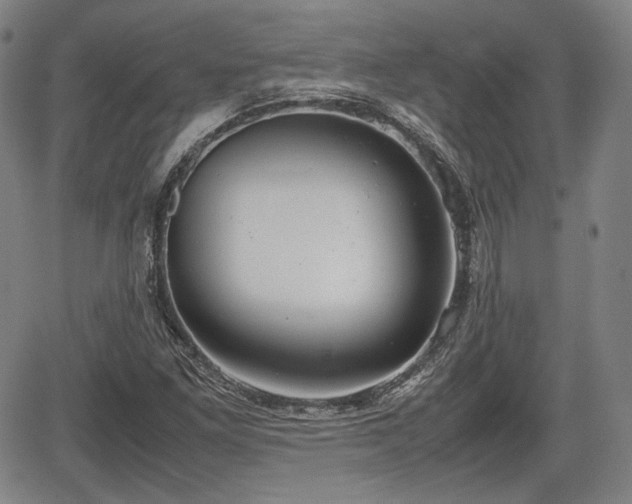 X0000064751261200602131218