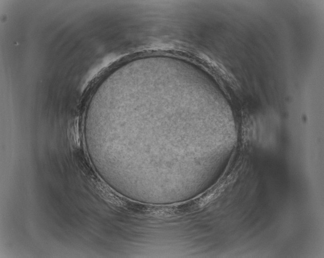 X0000064751262200602131217