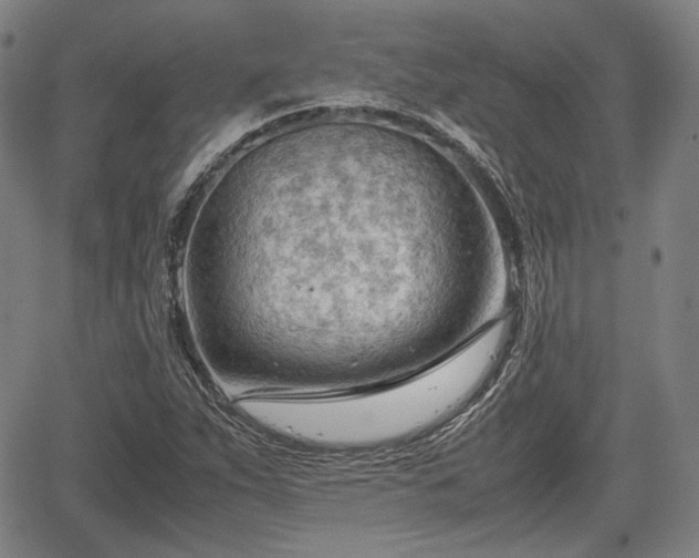 X0000064751263200602131217