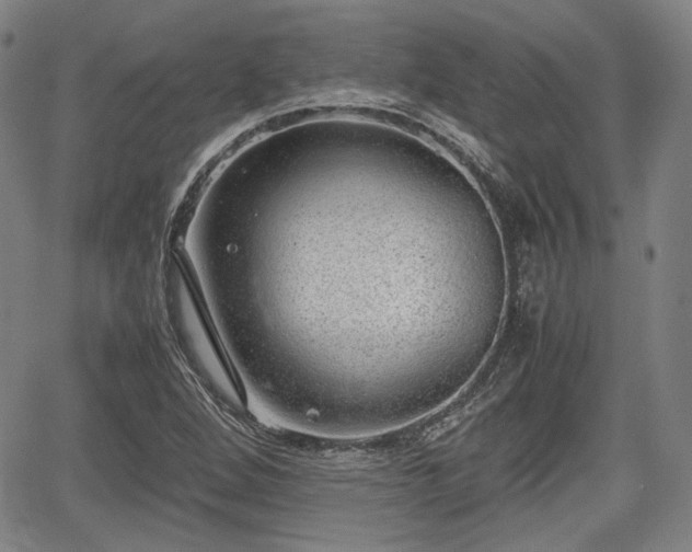 X0000064751264200602131217