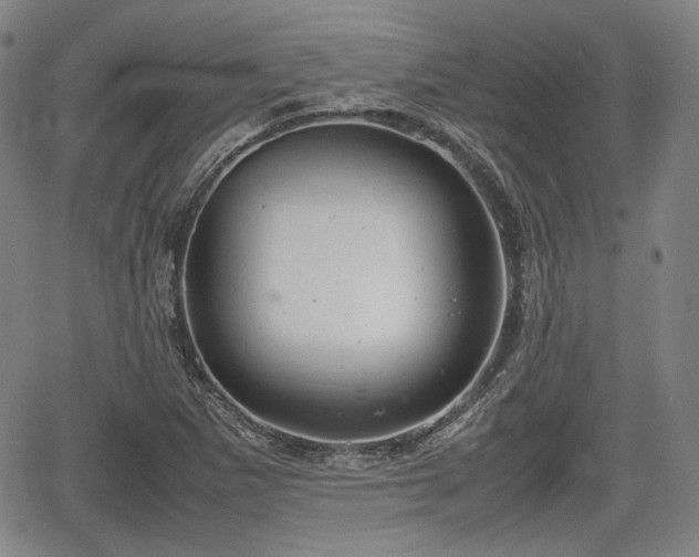 X0000064751265200602131217