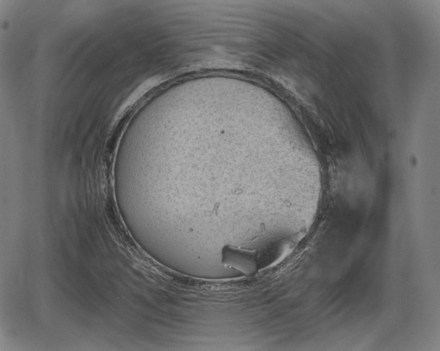 X0000064751266200602131217