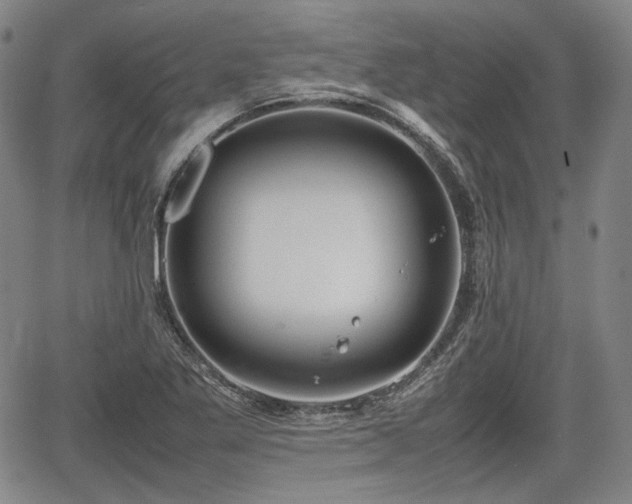 X0000064751269200602131217