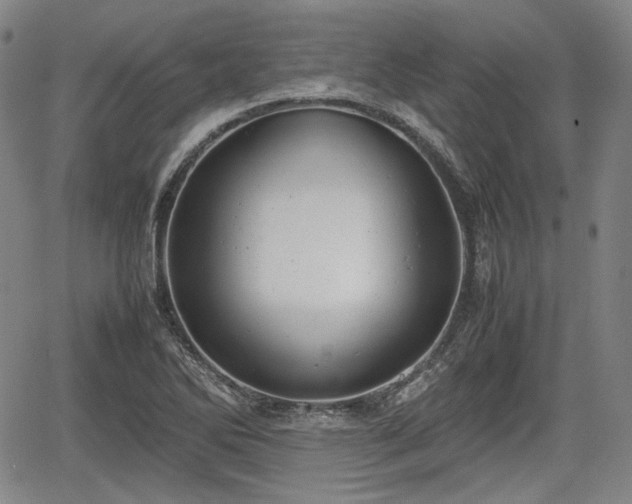 X0000064751270200602131217