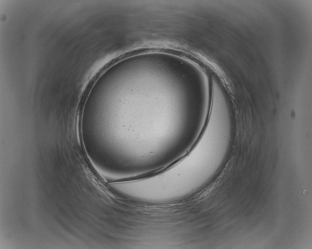 X0000064751272200602131217