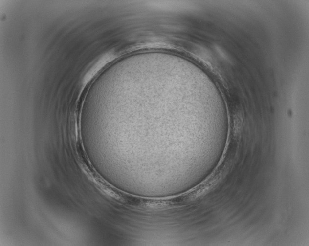 X0000064751274200602131217