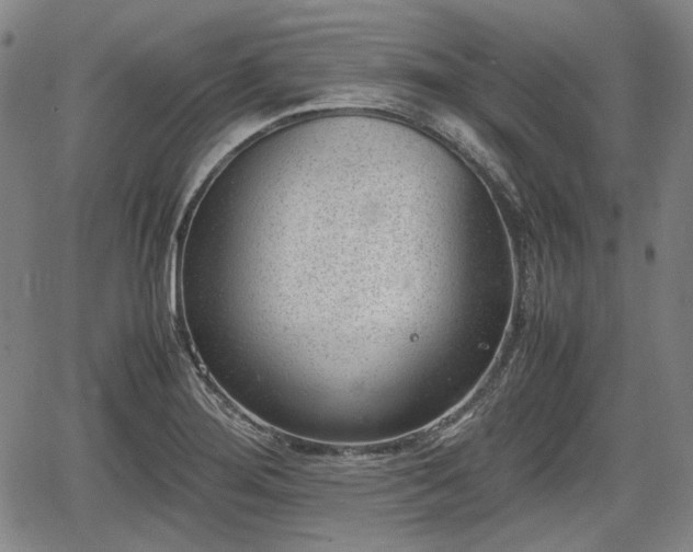 X0000064751276200602131217