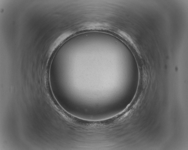 X0000064751277200602131217