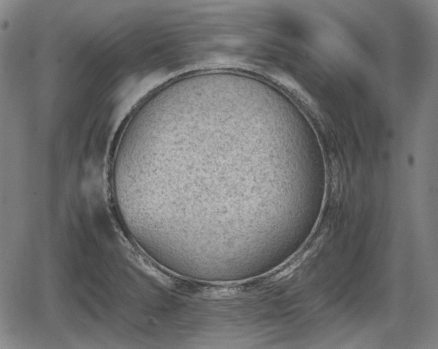 X0000064751278200602131217