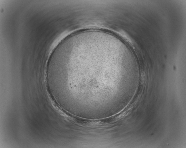 X0000064751279200602131217