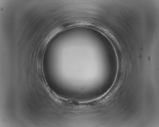 X0000064751281200602131217