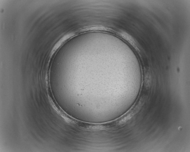 X0000064751282200602131217