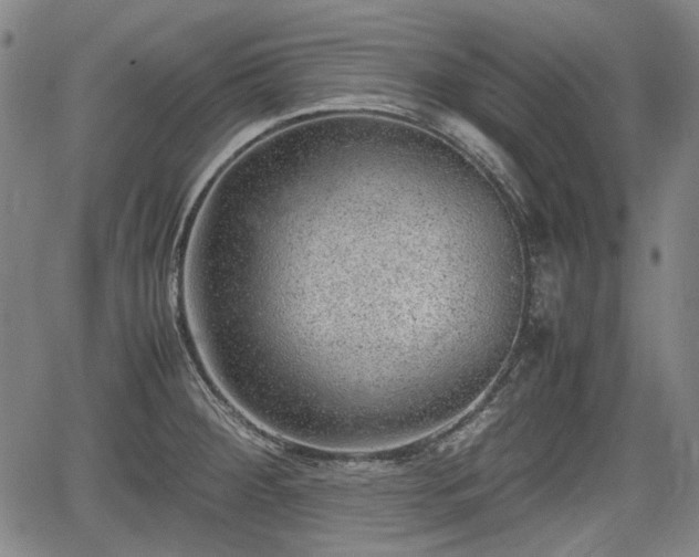 X0000064751284200602131217