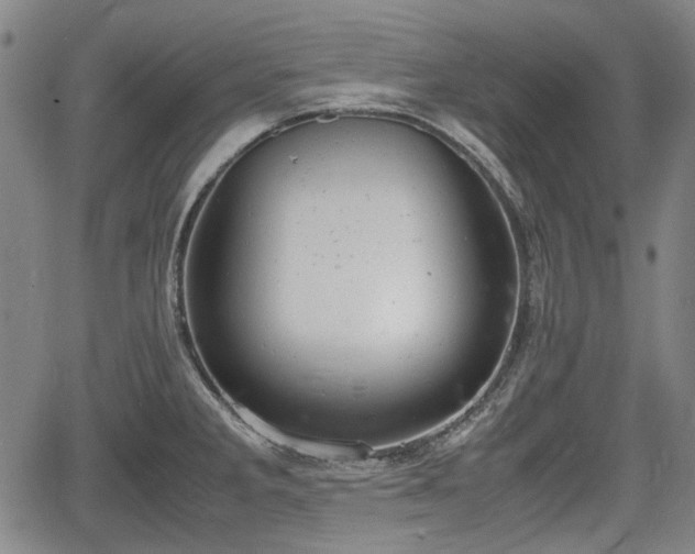 X0000064751285200602131217