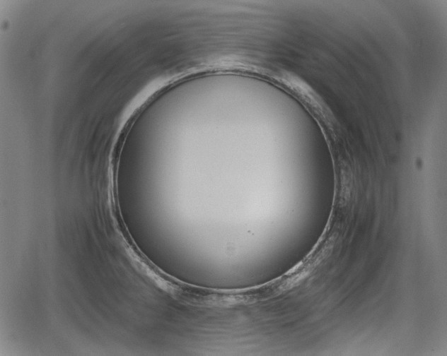 X0000064751286200602131217